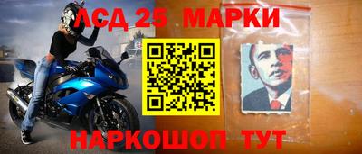 прущие грибы Кулебаки