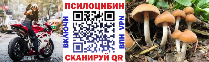 дарнет шоп  Добрянка  Псилоцибиновые грибы ЛСД 