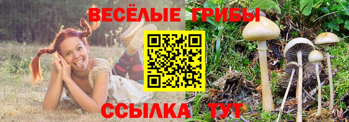 Псилоцибиновые грибы Psilocybe  Вход с VPN  Добрянка  Галлюциногенные грибы мицелий 
